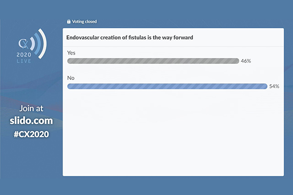 Endovascular fistulas poll CX 2020 LIVE 6