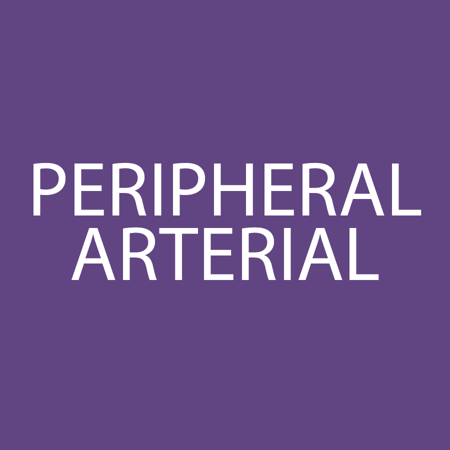 SQ-PERIPHERAL-ARTERIAL