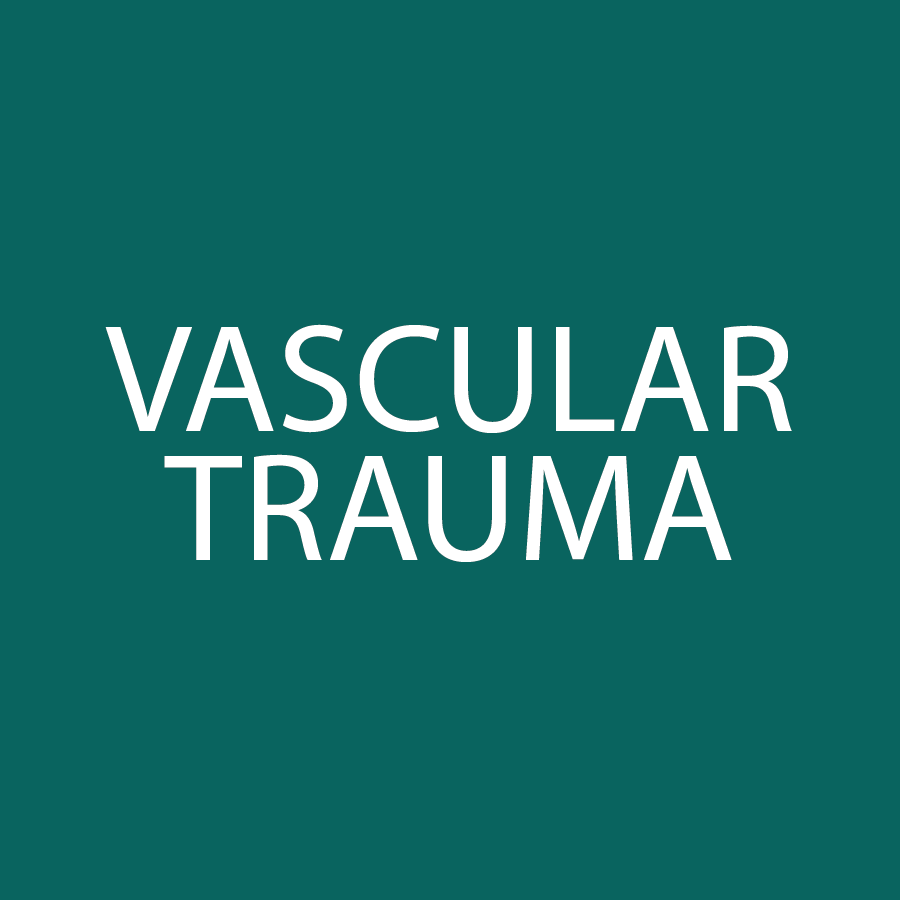 SQ-VASCULAR-TRAUMA