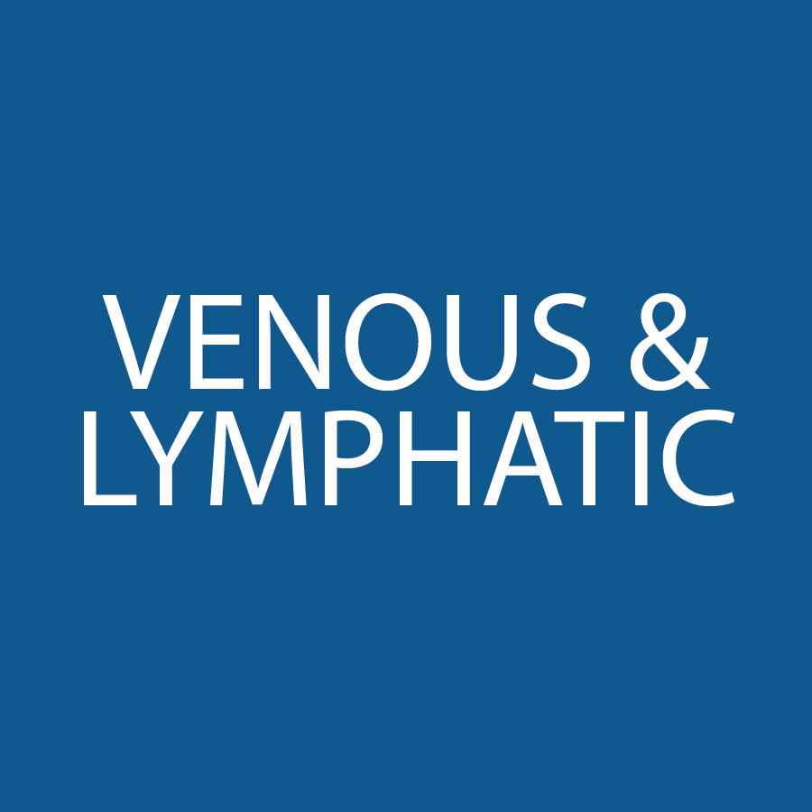 SQ-VENOUS-AND-LYMPHATIC
